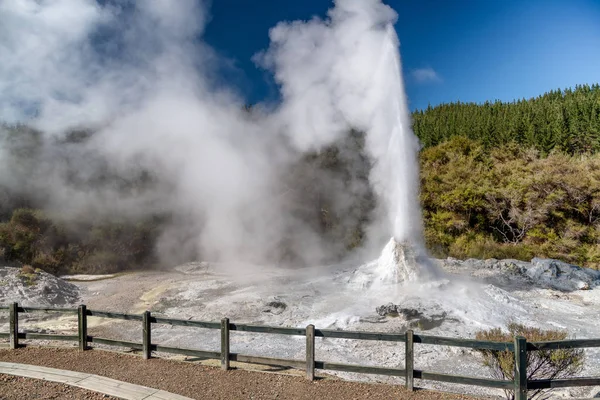 Леді Нокс гейзер виверження, Вай-O-Tapu, Нова Зеландія — стокове фото