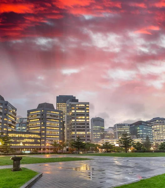 Wellington skyline notturno dal lungomare — Foto Stock