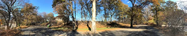 Panoramisch uitzicht op Central Park op een mooie winterdag, nieuwe Yo — Stockfoto