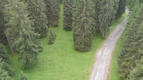 新西兰煤油溪及周边森林的空中镜头 — 图库视频影像