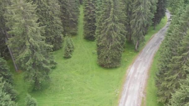 Imágenes Aéreas Kerosene Creek Bosque Circundante Nueva Zelanda — Vídeo de stock