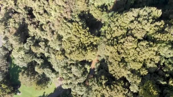 Imágenes Aéreas Hermosa Campiña Waitomo Nueva Zelanda — Vídeo de stock