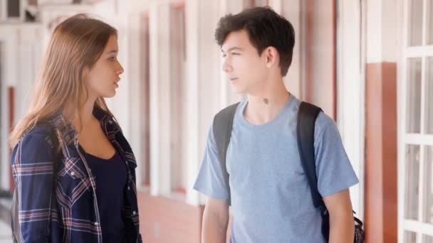 Lisenin Koridorunda Sohbet Eden Öğrencilerin Görüntüleri — Stok video