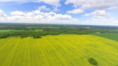 Yaz sezonunda çayır havadan panoramik görüntüleri