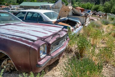 Bir parkta terk edilmiş eski vintage arabalar