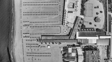 Pisa Tirrenia. Yaz denize güzel kıyı şeridi havadan görünümü