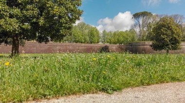 Lucca ortaçağ duvarları havadan görünümü güneşli bir günde, Tuscany - bu