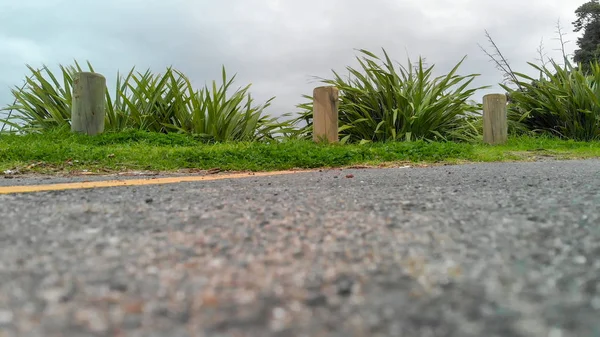 Estrada e vegetação a partir do solo — Fotografia de Stock