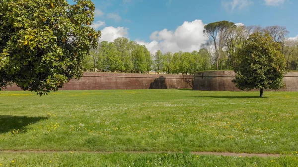 Lucca ortaçağ duvarları havadan görünümü güneşli bir günde, Tuscany - bu — Stok fotoğraf