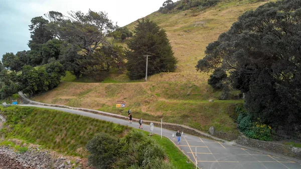 Vista aérea del horizonte del Monte Maunganui, Nueva Zelanda — Foto de Stock