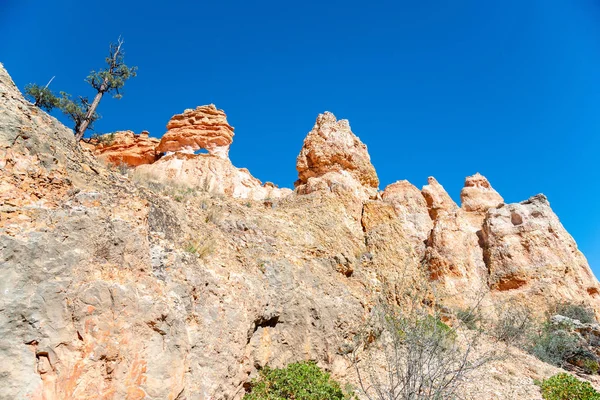 Krajobraz parku Narodowego Bryce Canyon w lecie — Zdjęcie stockowe