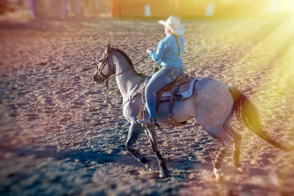 Scena Rodeo w Utah, Stany Zjednoczone Ameryki — Zdjęcie stockowe