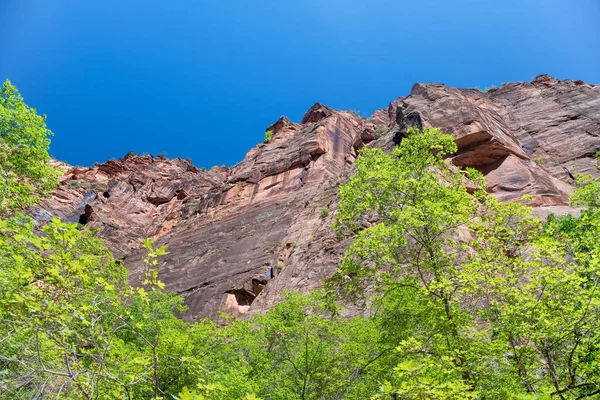 Zion Nemzeti Park hegyei, a nyári szezonban, Ut — Stock Fotó