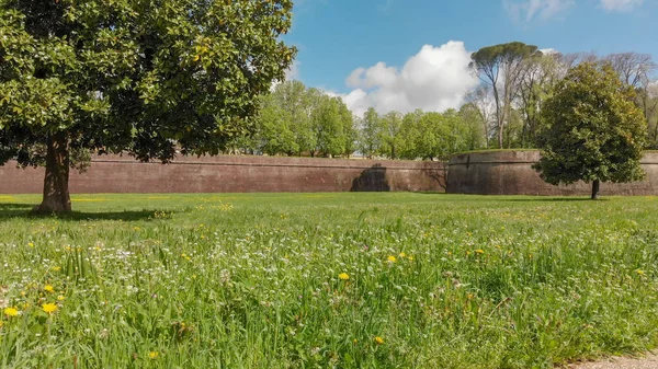 Luftaufnahme der mittelalterlichen Stadtmauern von Lucca an einem sonnigen Tag, die Toskana - es — Stockfoto