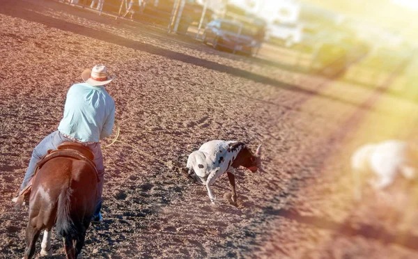 Rodeo scen i Utah, Usa — Stockfoto