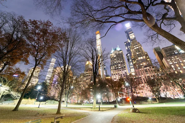 Night view of Central Park with trees and skyscrapers, New York Stock Photo