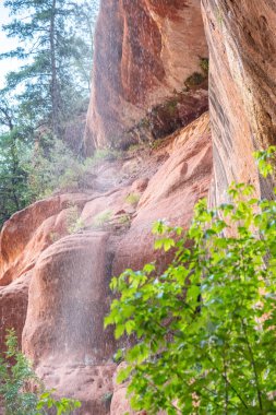 Şelaleler Zion National Park, Utah