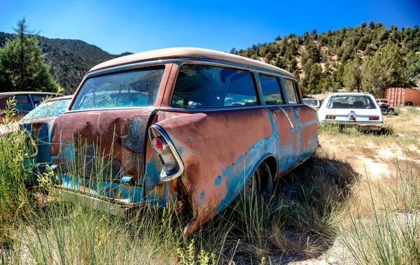 Bir parkta terk edilmiş eski vintage arabalar — Stok fotoğraf