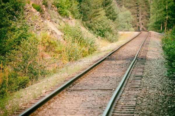 Ferroviária rodeada por floresta vista do solo — Fotografia de Stock