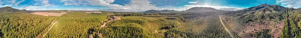 Panorama Luftaufnahme Des Kerosinbaches Und Des Umliegenden Waldes Rotorua Neuseeland — Stockfoto