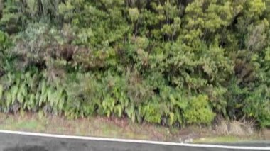 güzel yeşil tepenin doğal hava görüntüleri