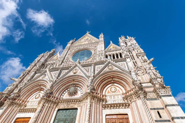 Katedra Siena, Toskania. Widok zewnętrzny z Duomo — Zdjęcie stockowe