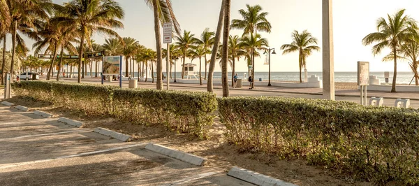 Paseo marítimo con palmeras y mar —  Fotos de Stock