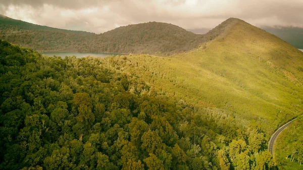 Lake Rotoaira ve çevresindeki ormanda Tongariro havadan görünümü — Stok fotoğraf