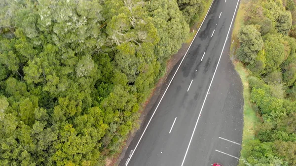 フォレスト全体での道路 — ストック写真