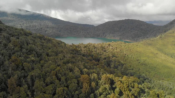 Parque Nacional Tongariro Vista aérea del bosque, Nueva Zelanda —  Fotos de Stock