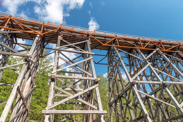 Detalle Del Puente Ferrocarril Madera Kinsol Trestle Isla Vancouver Canadá —  Fotos de Stock