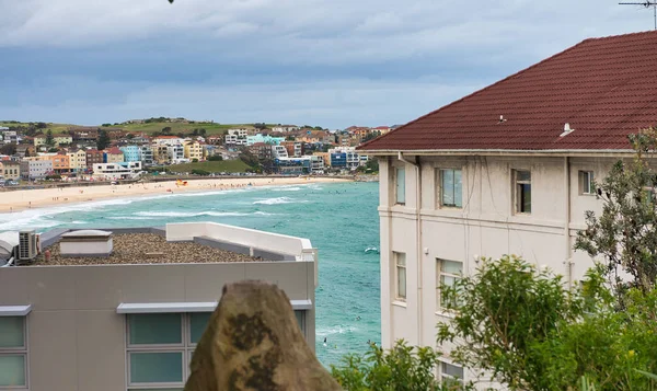 Hus Och Träd Bondi Beach Kust Australien — Stockfoto