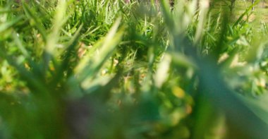 Budapeşte silüetinin ve şehir Kalesi 'nin havadan görünümü