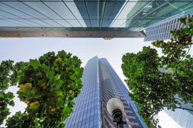 Ağaçlarla çevrili gökdelenler, gökyüzü manzarası. İş ve Corp