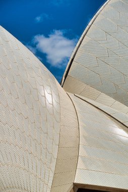 Sydney-Ekim 2015: Sydney Opera House panoramik görünümü bir