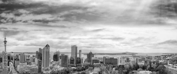 Auckland, Yeni Zelanda'nın panoramik havadan görünümü — Stok fotoğraf