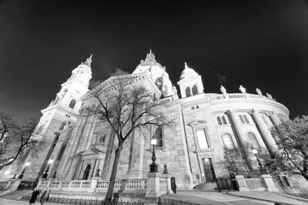 Katedra św Stefana nocą w Budapeszcie — Zdjęcie stockowe