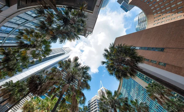 Vista ascendente surpreendente do horizonte de Sydney — Fotografia de Stock