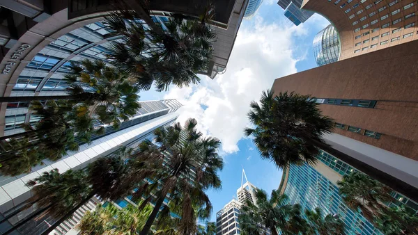 Sydney-październik 2015: panoramę miasta w słoneczny dzień. Miasto ATT — Zdjęcie stockowe