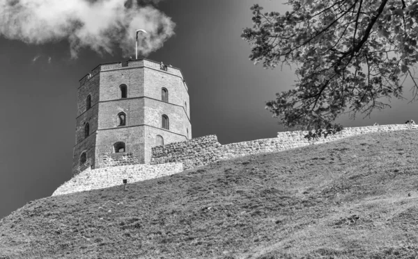 Burg Vilnius, Litauen — Stockfoto