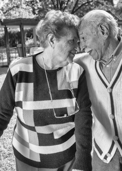 Aktive Senioren Genießen Das Leben Garten — Stockfoto