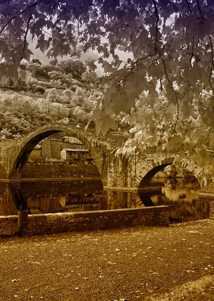 Лукка, мост Дьявола. Черно-белая архитектура и вегетация — стоковое фото