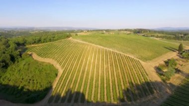 Yaz sezonunda çayır havadan panoramik görüntüleri