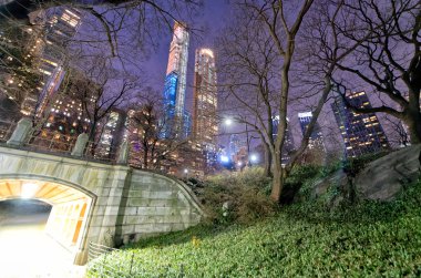 Central Park, N Manhattan gökdelenler inanılmaz gece görünümü