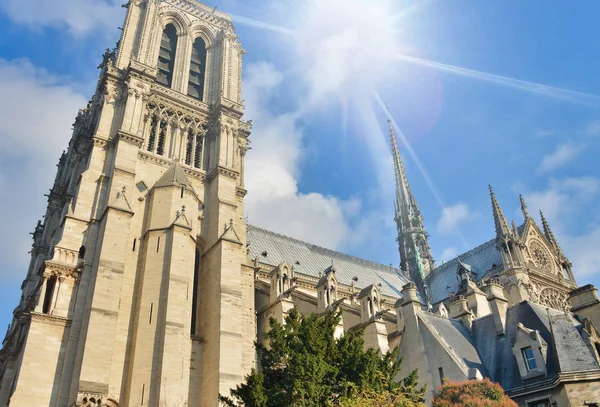 Notre Dame buitenkant uitzicht tegen een blauwe hemel, Parijs — Stockfoto