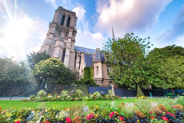 Notre Dame exteriör utsikt från Jean XXIII Park, Paris — Stockfoto