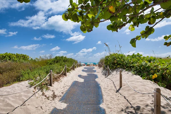 Trail naar het strand, Miami — Stockfoto