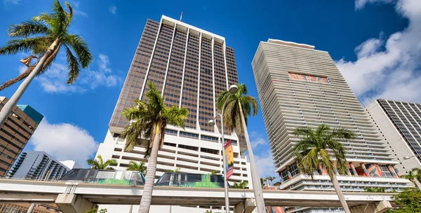 Здания и монорельсы центра Майами с пальмами на солнечном берегу — стоковое фото