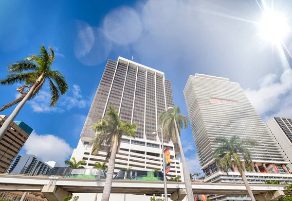 Edifici e monorotaia del centro di Miami con palme su un soleggiato d — Foto Stock