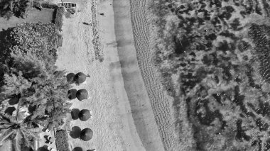 Mauritius güzel plaj ve kıyı şeridi